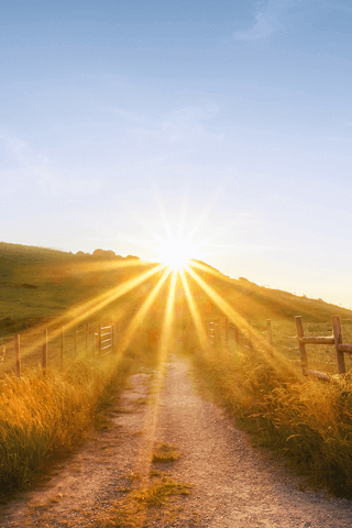 About Your Practice Wellness